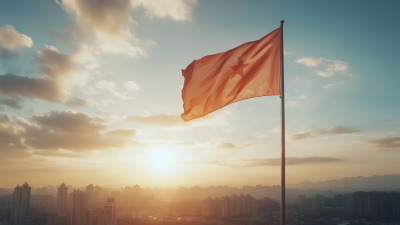 Evaluating Different Types of Plastic Flag Poles for Your Global Sourcing Needs