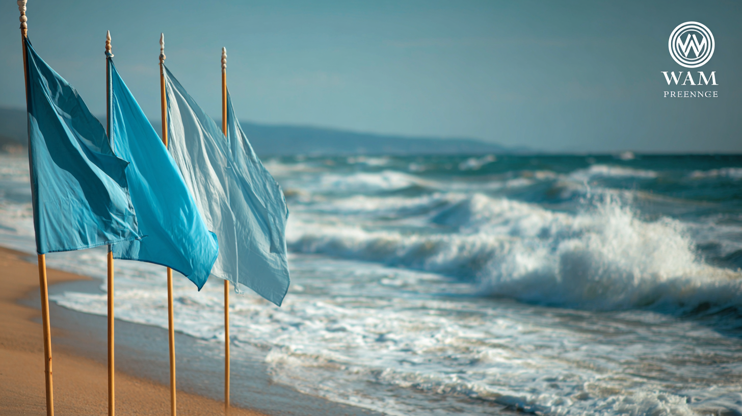 Maximize Visibility: Premier Techniques for Showcasing the Best Beach Flag Poles